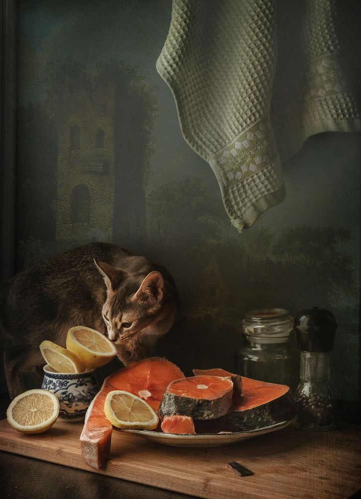 Фотография автора Анна Петина