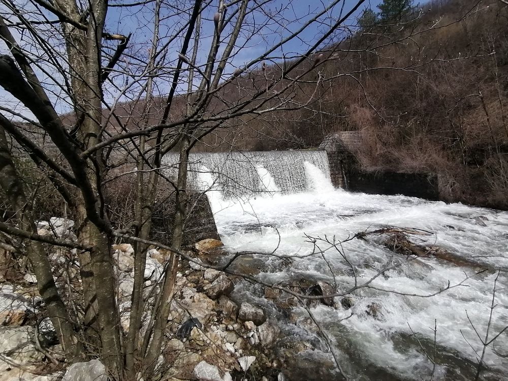 Фотография автора Danica Utjesinovic