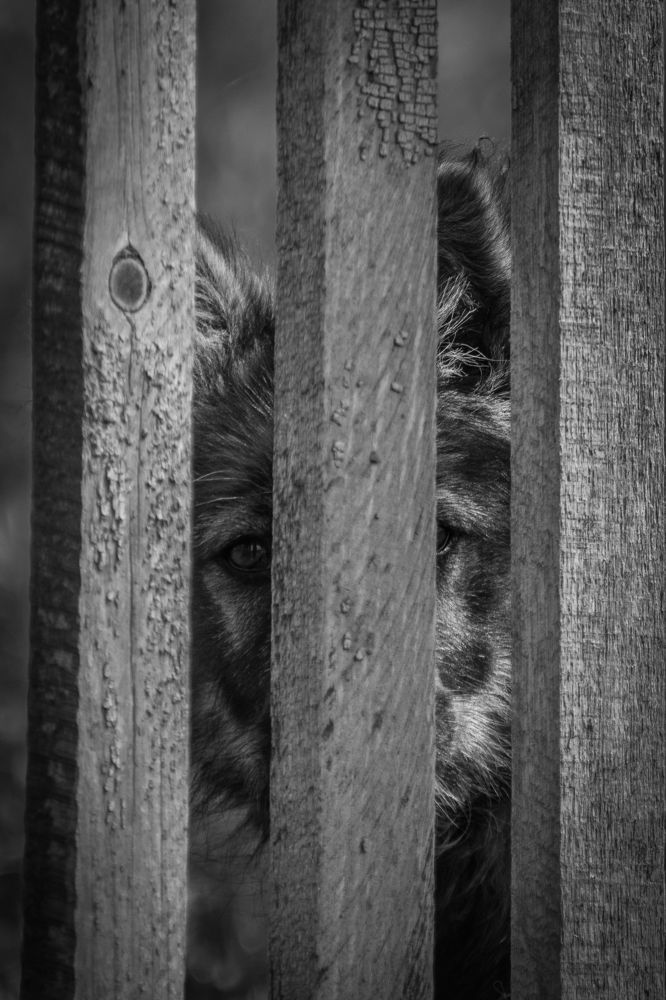 Photograph by Николай Мокшин