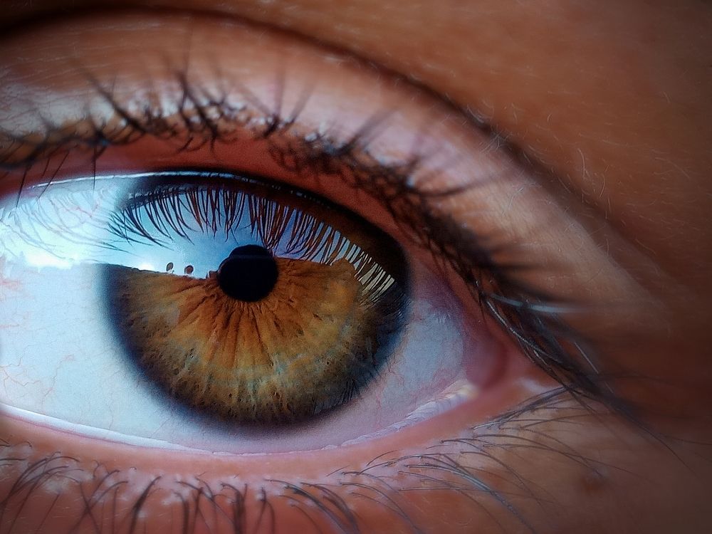 Brown eye