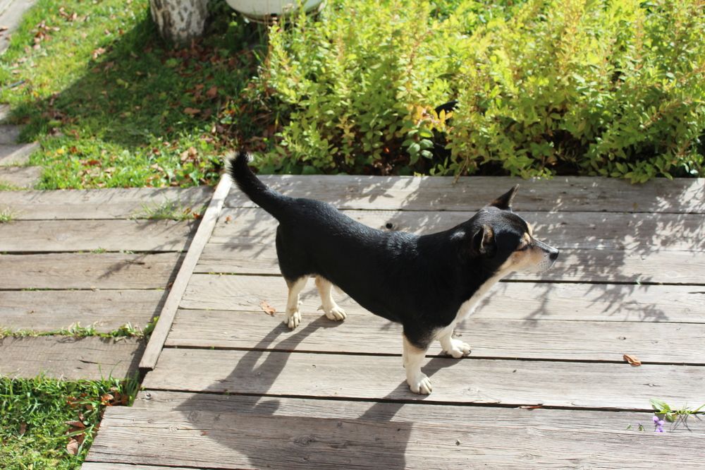 Photograph by СТЕПАН ДЖУЛАКИДЗЕ