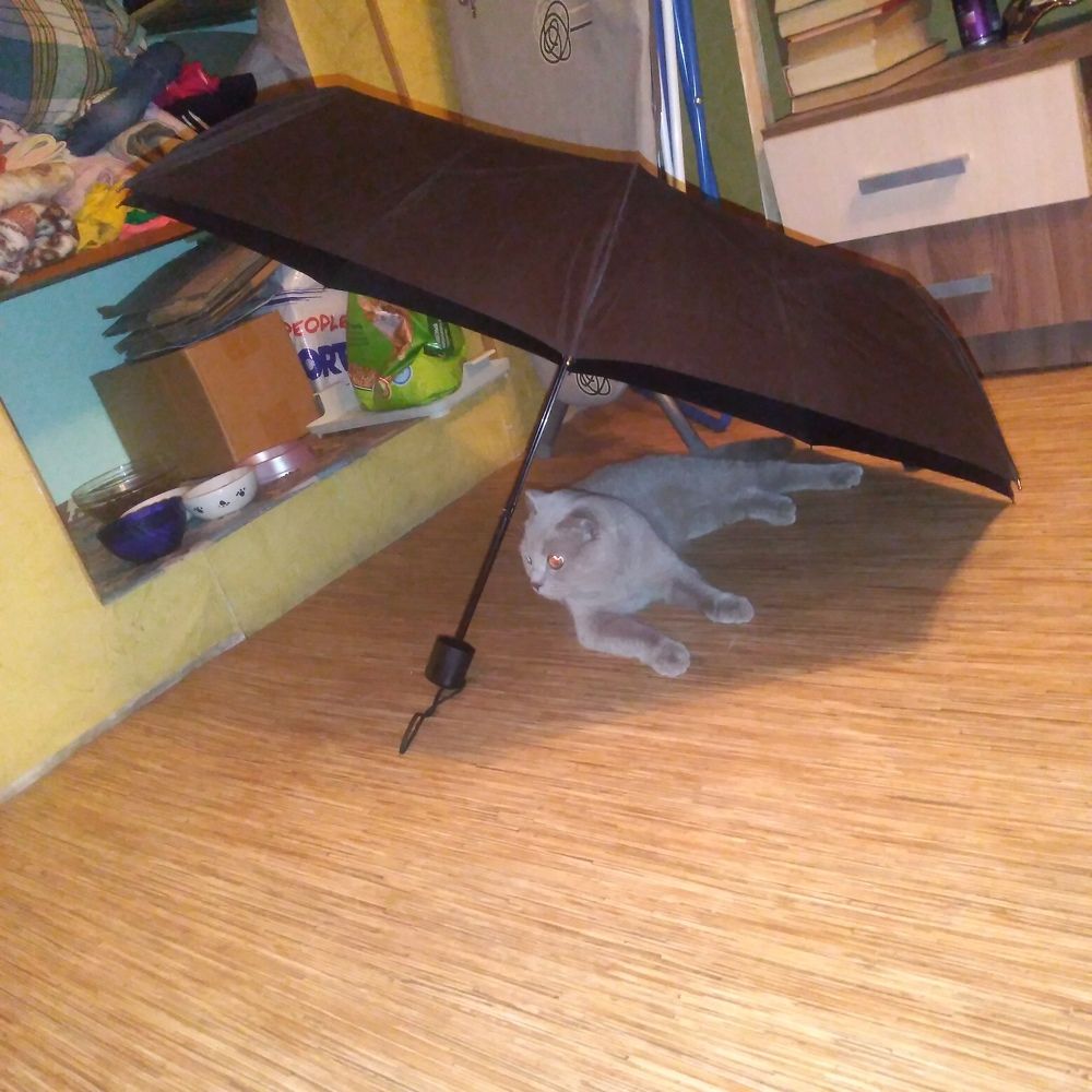 Photograph by СТЕПАН ДЖУЛАКИДЗЕ