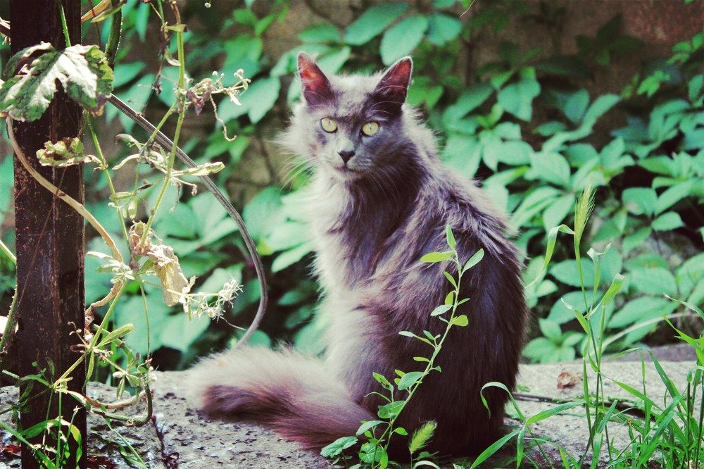 Photograph by Victoria Zubova