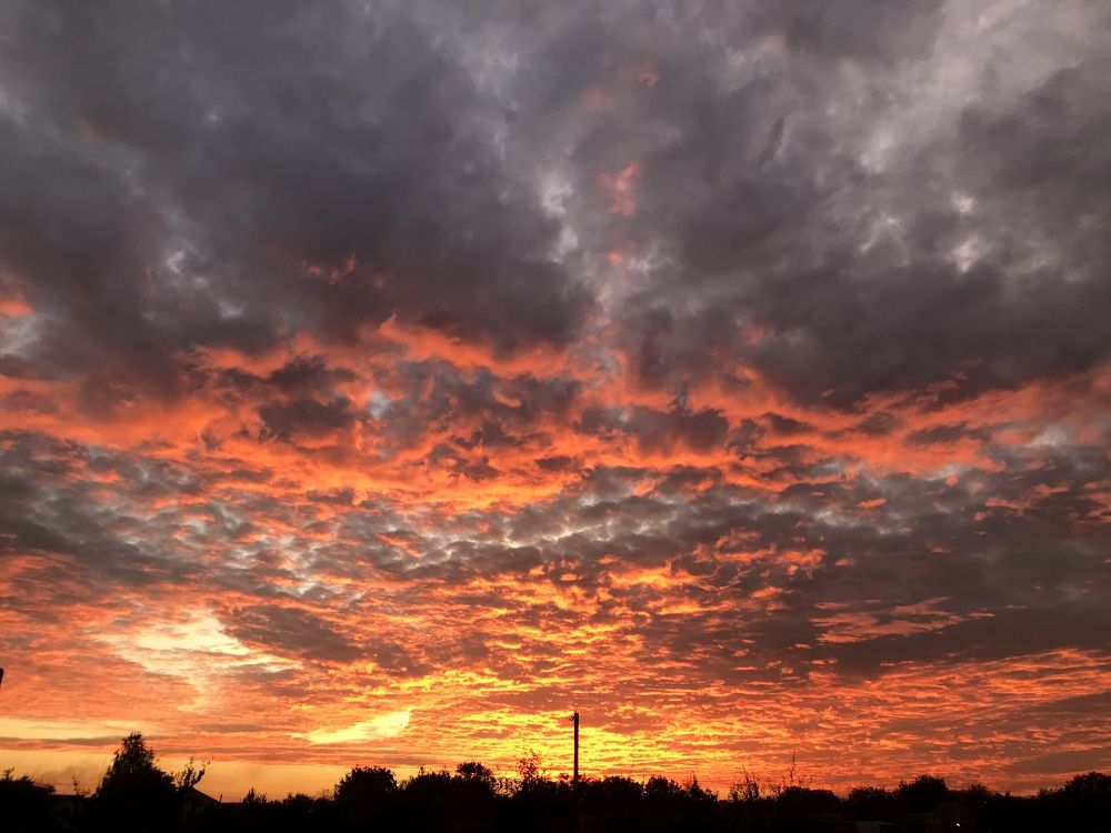 Photograph by Анастасия Клевец