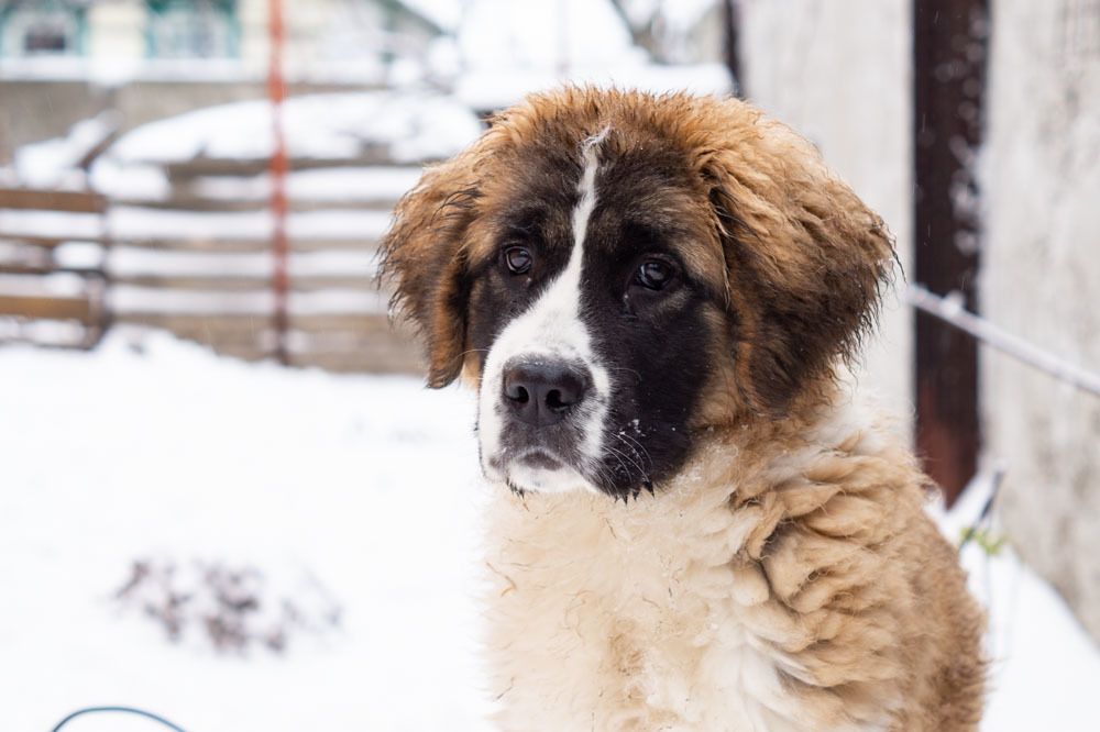 Photograph by Анастасия Клевец