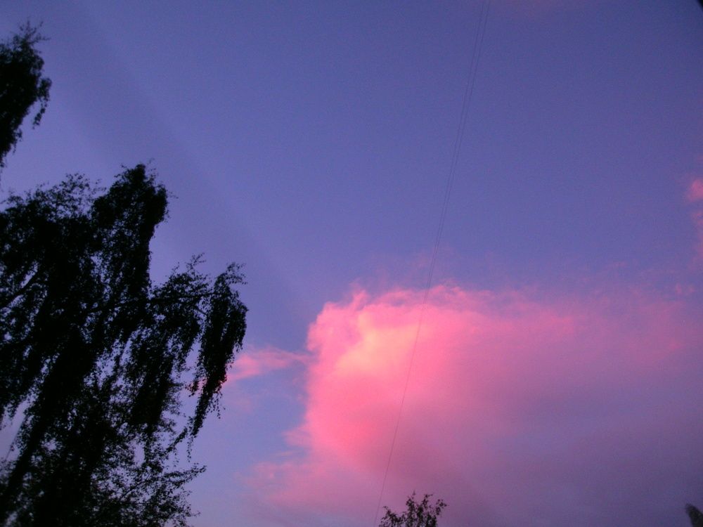 Photograph by Ирина Смычникова