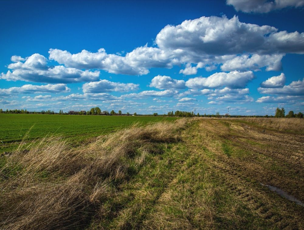 Photograph by Евгений Аношин