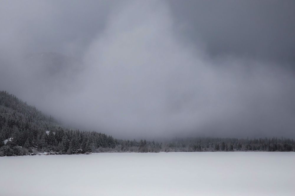 Photograph by Yana Viesulas