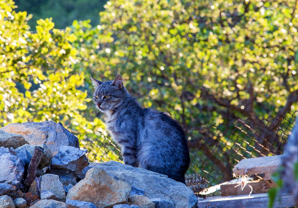 Photograph by Андрей Хаецкий