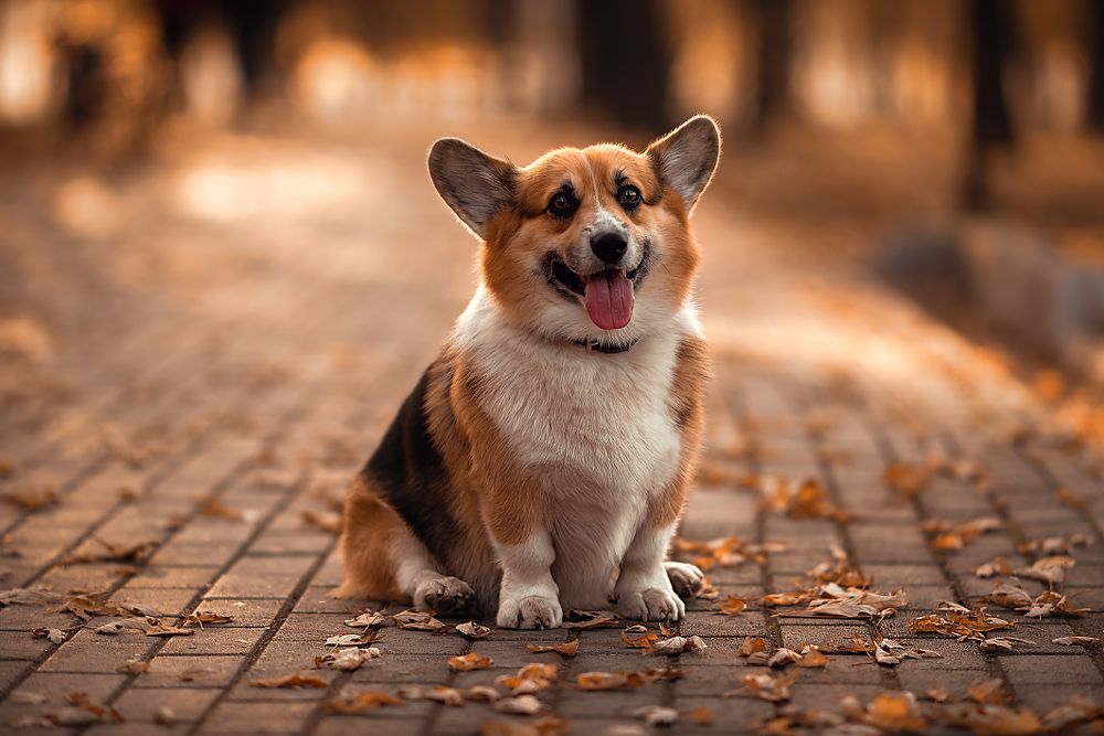 Photograph by Ирина Ганич