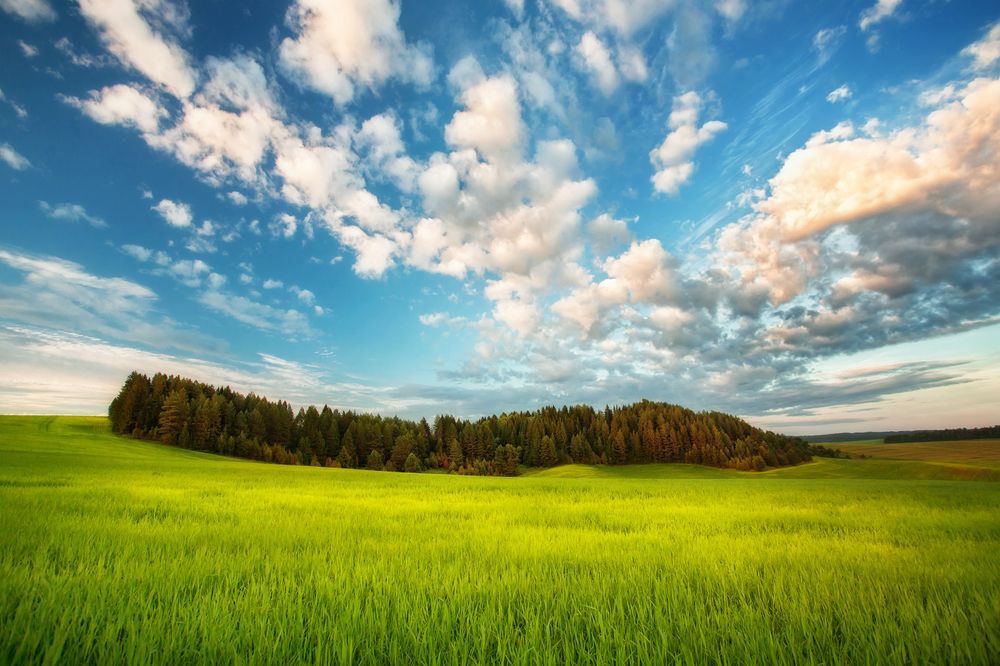 Фотография автора Vyacheslav Lozhkin