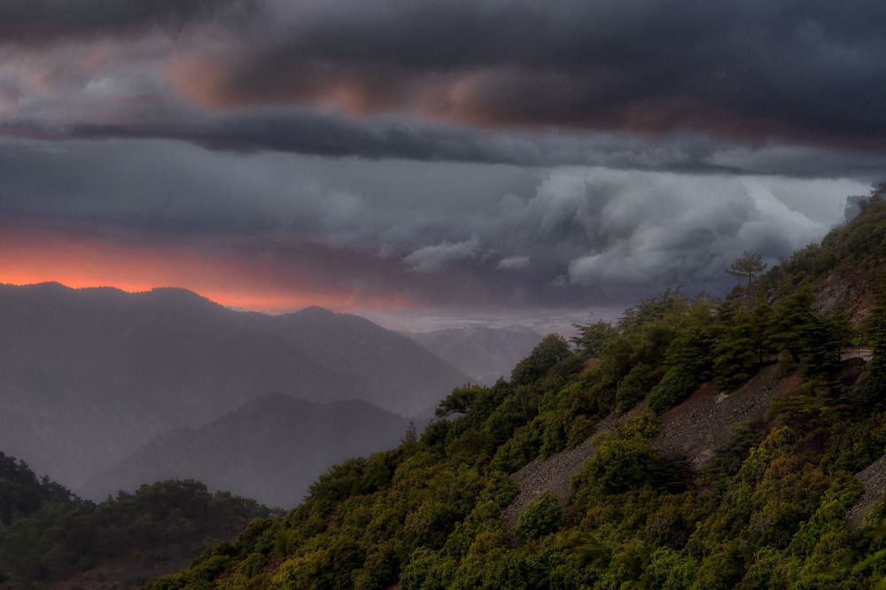 Photograph by Oleg Gavrilov