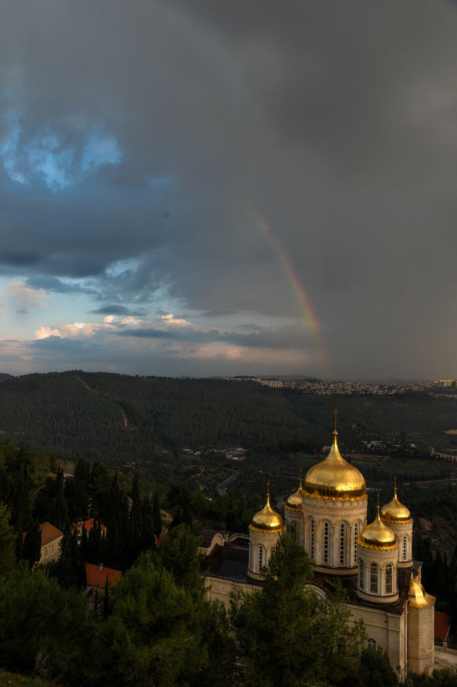 Photograph by Elena Sportes