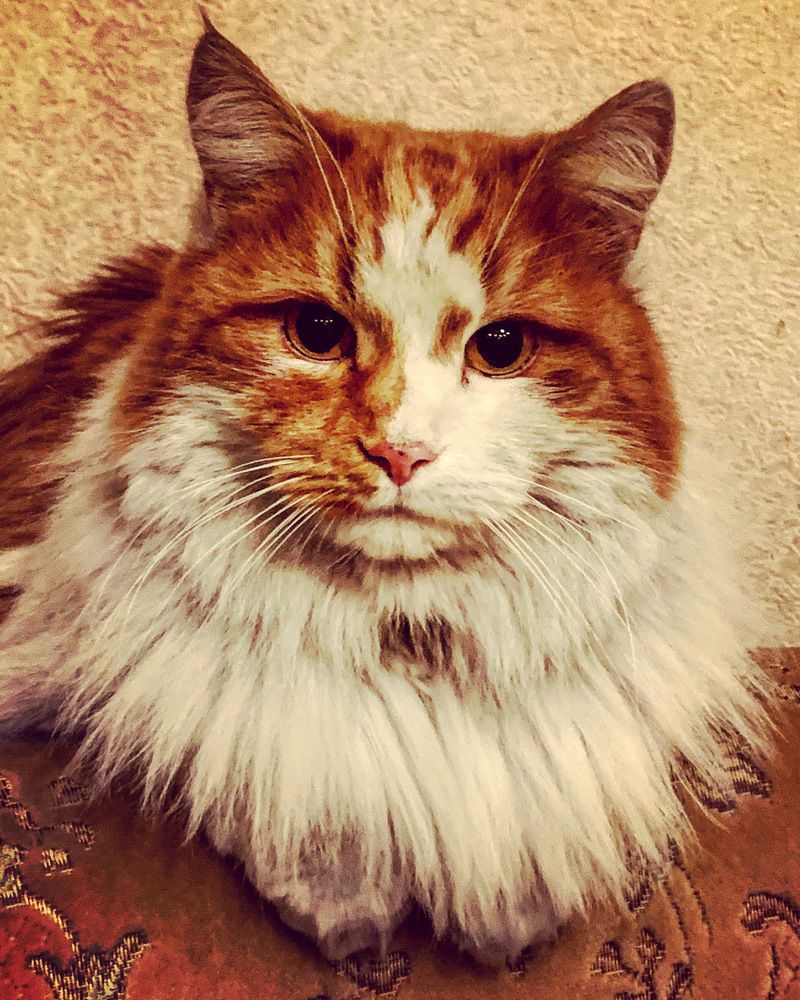 Photograph by Marina Ivanov