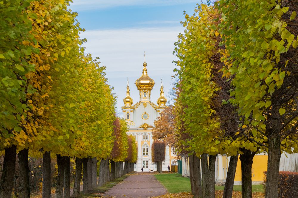 Photograph by Николай Гущин