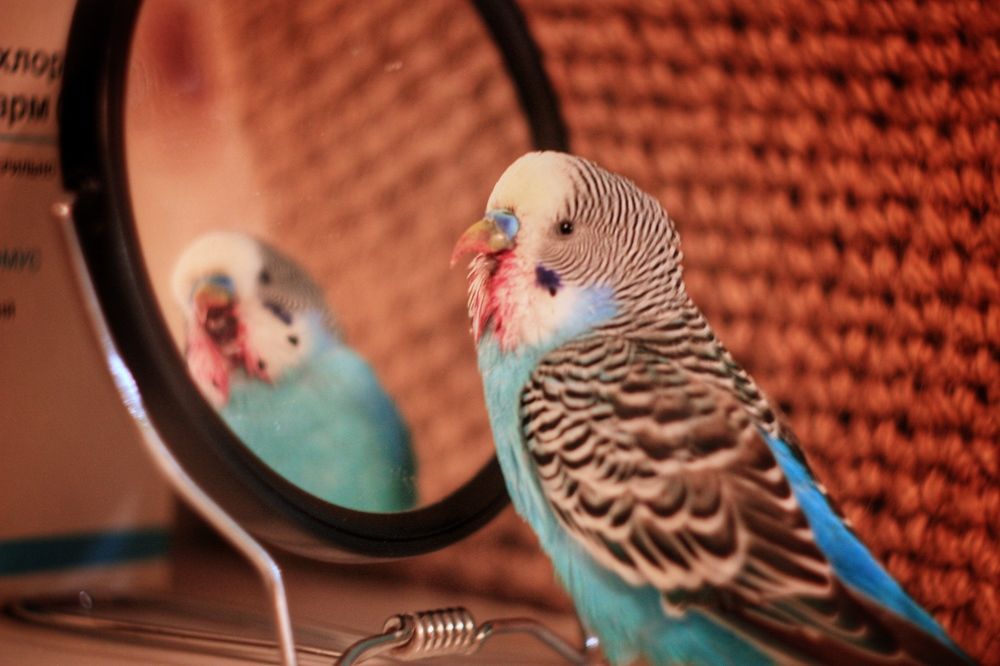 Photograph by Алексей Кроль