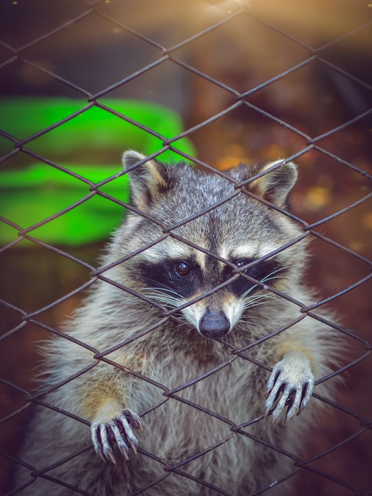 Photograph by Сергей Глухарев