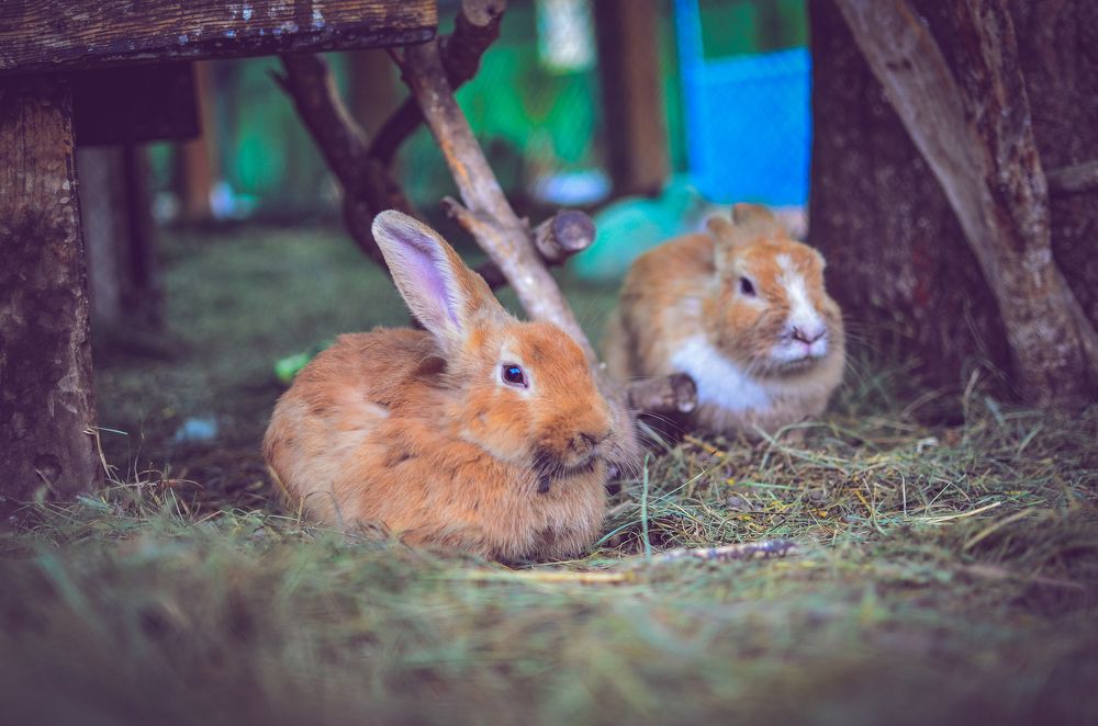 Photograph by Сергей Глухарев