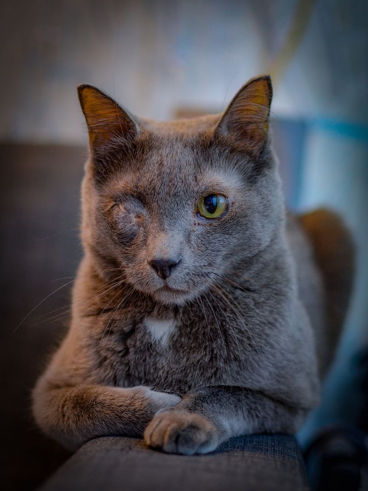 Photograph by Сергей Глухарев