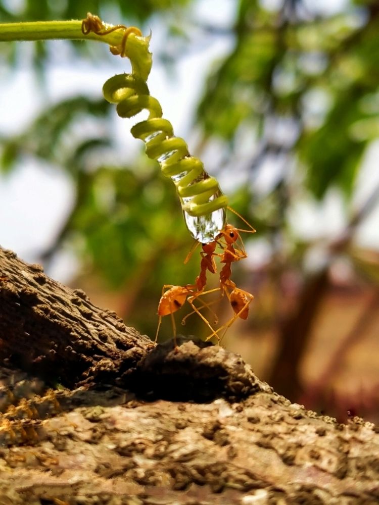 Photograph by Alaknanda Bhat