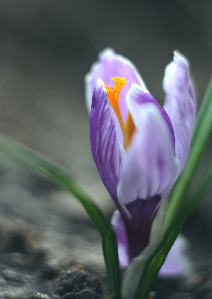 Photograph by Алена Яцун