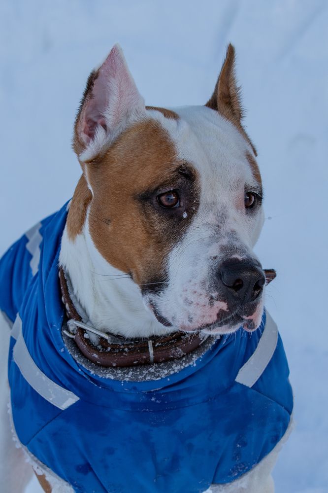 Photograph by Алексанр Приезжев