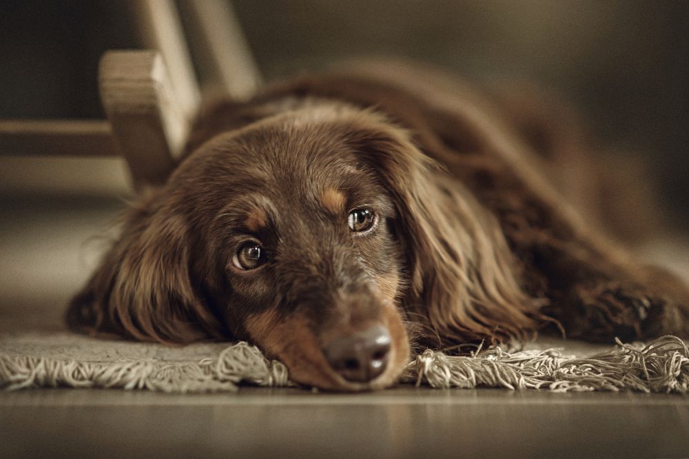 Photograph by Дарья Базарнова