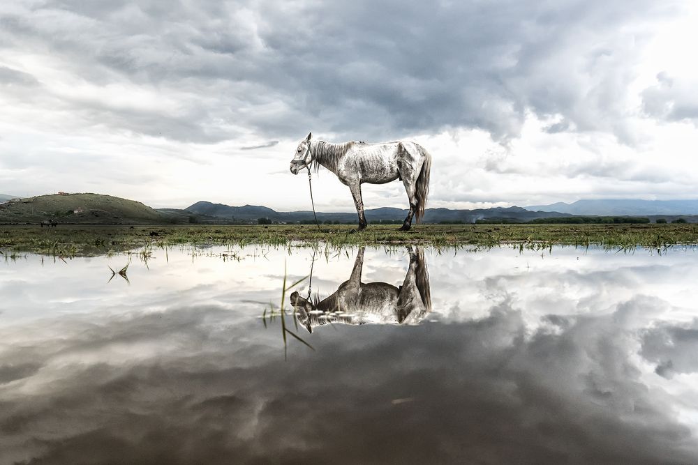 Фотография автора Fikriye Er