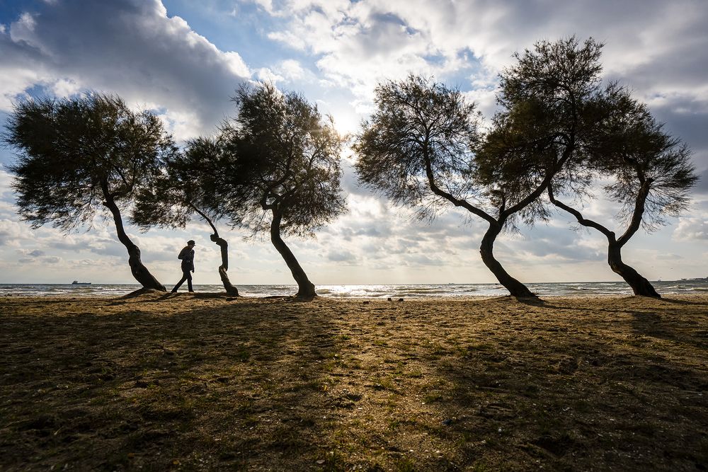 Фотография автора Fikriye Er