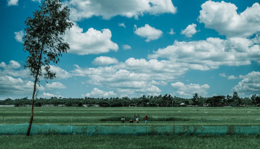 Photograph by Dhritiman Mandal