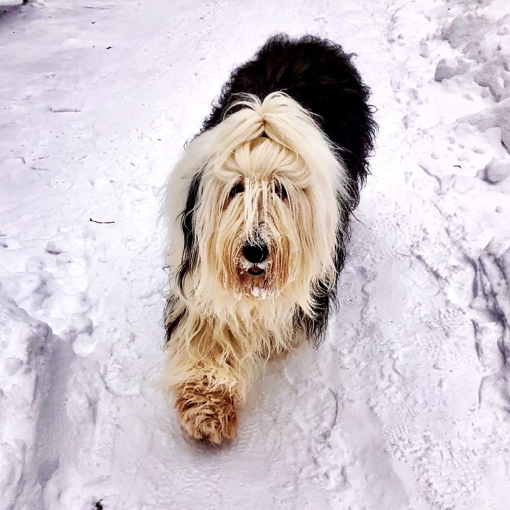 На прогулке