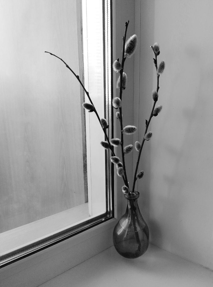 Photograph by Белова Ксения