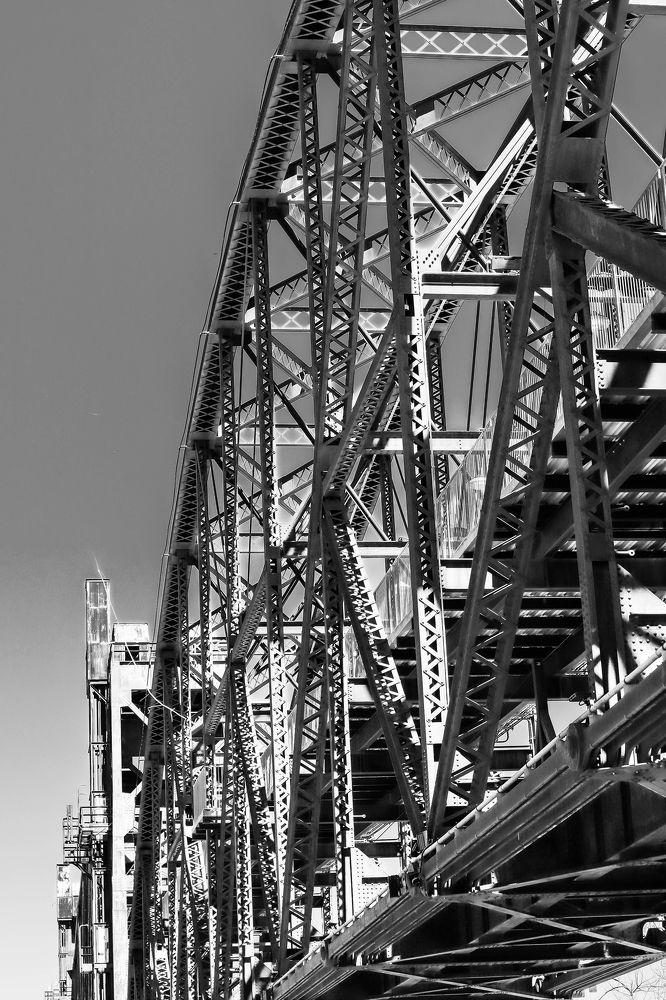 Photograph by Y. Hope Osborn