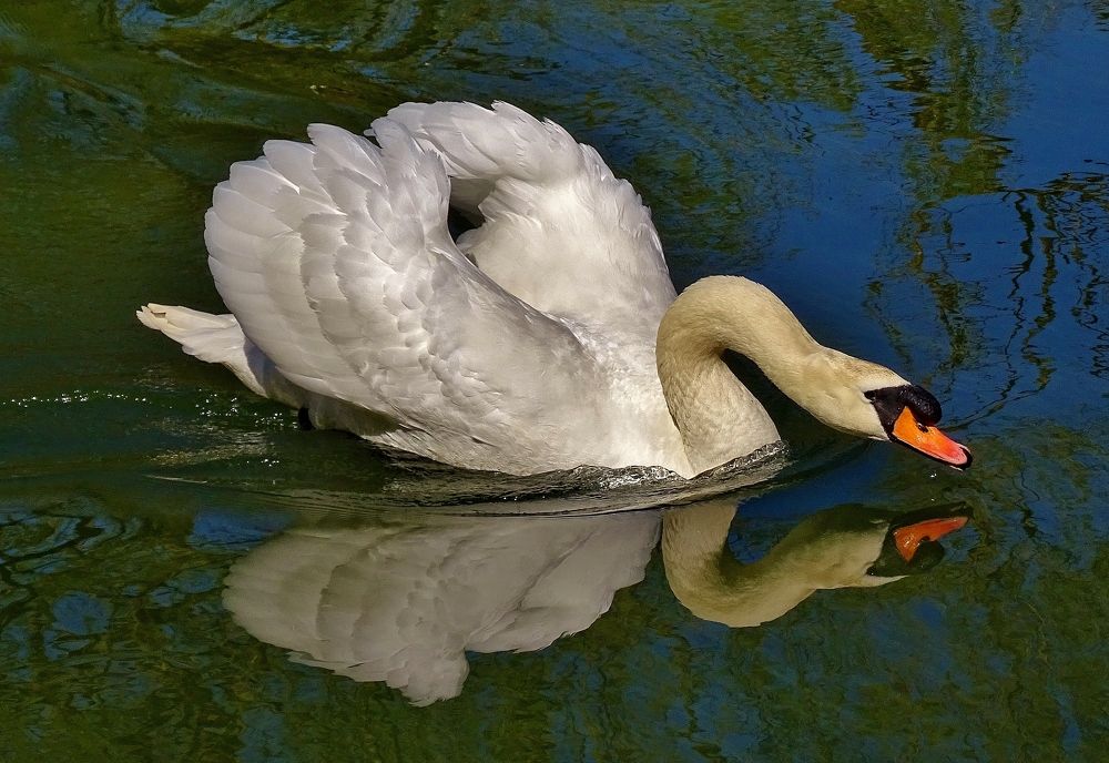 Photograph by backareva irina