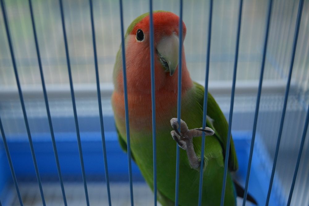 Фотография автора Оля Алехнович