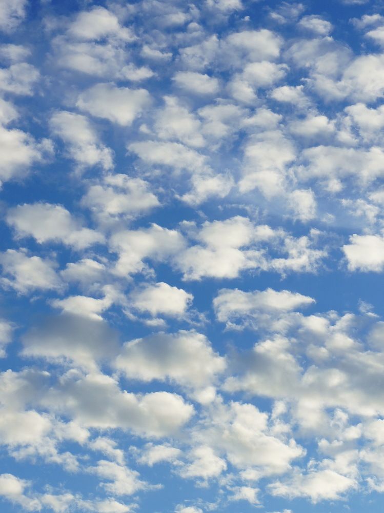 Photograph by Евгений Устинов