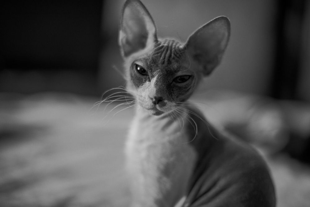 Photograph by Светлана Тетера