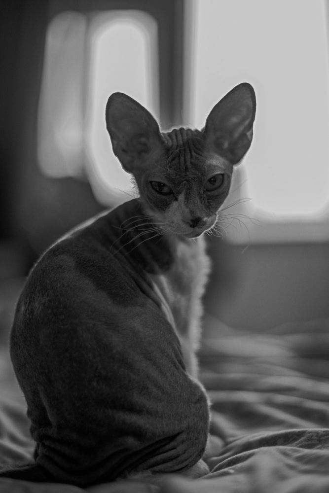 Photograph by Светлана Тетера