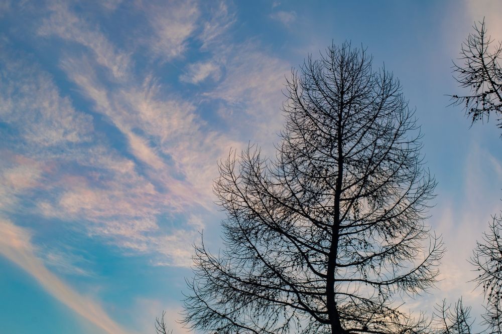 Фотография автора Алексей Хаммер