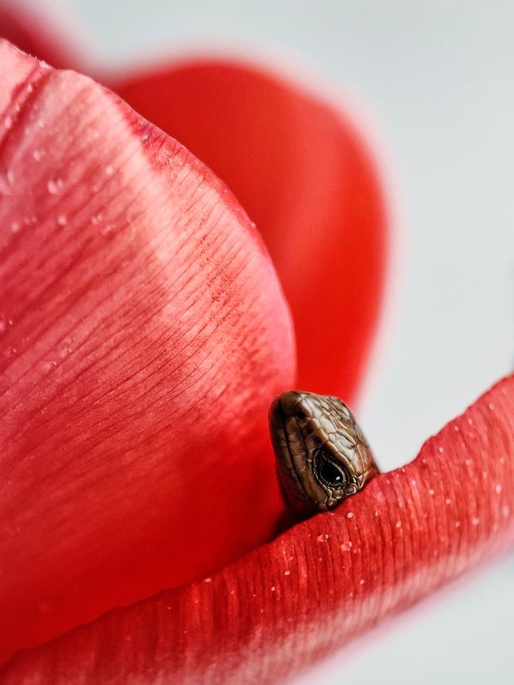 Photograph by Светлана Смирнова