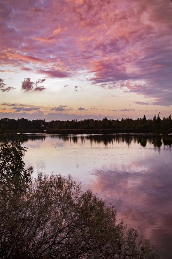 Photograph by Екатерина Рябинина