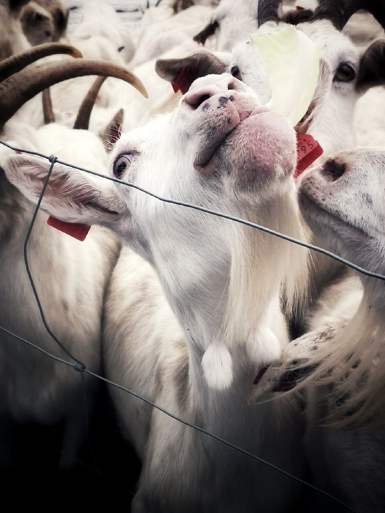 Photograph by Olga Asson