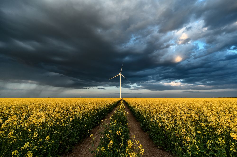 Photograph by Юрий Бершадский