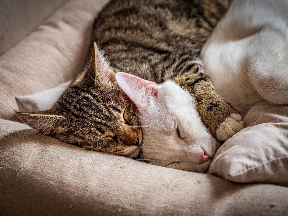 Photograph by Константин Горшенин