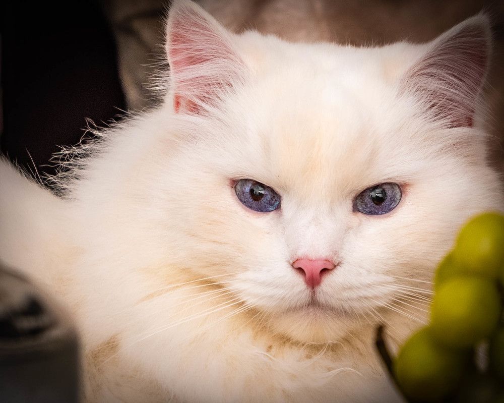 Photograph by Константин Горшенин