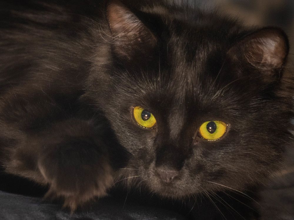 Photograph by Константин Горшенин