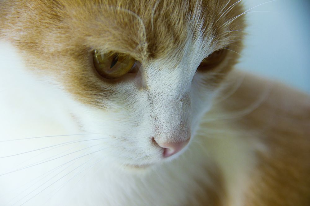 Photograph by Марина Кулымова