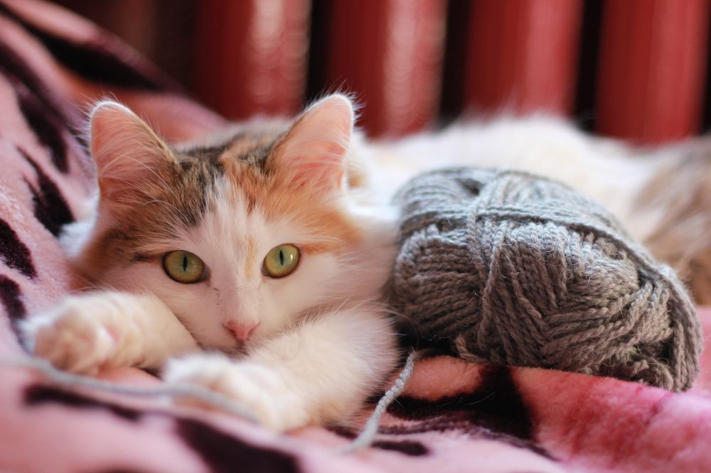 Photograph by Марина Кулымова