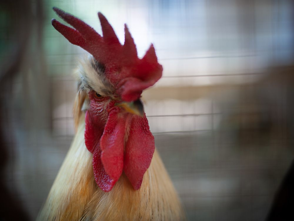 Photograph by Eugenia Shraga