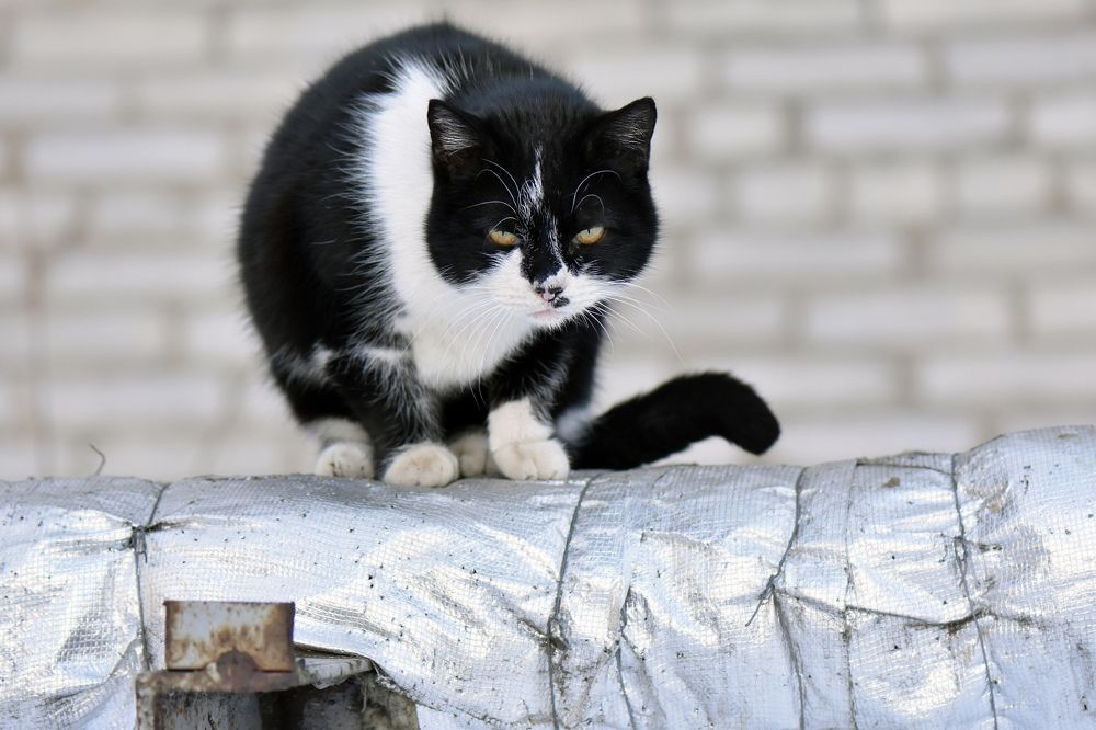 Photograph by Stan Lee